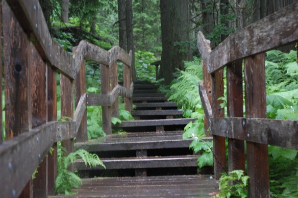 An enchanting trail in Yoho National Park (short but beautiful)