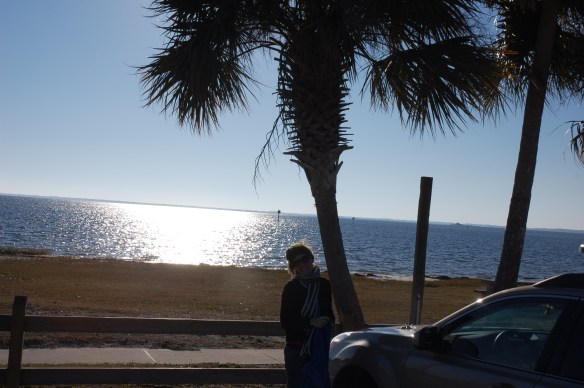 Corey and a palm tree