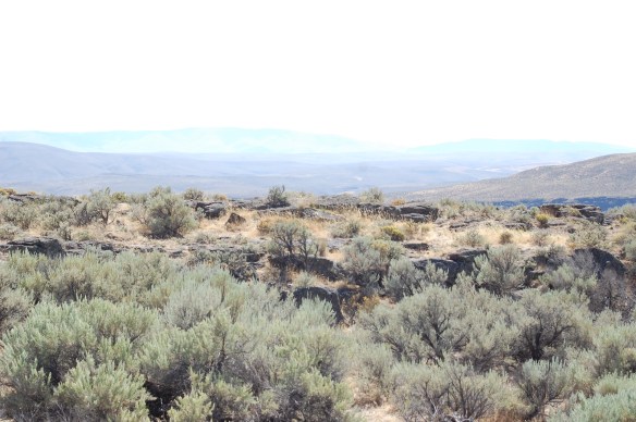 The dry part of Washington