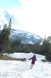 Although a nature trail, it was a glorious first climb up to capture views of the mountain while in the snow.  