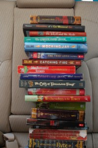 These are 20 of the books Henna has read so far on the trip!