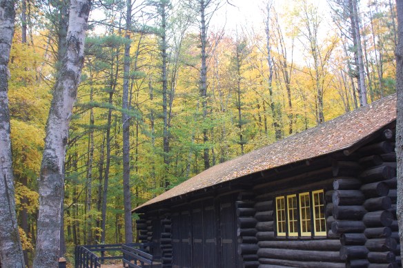 Hartwick Pines State Park
