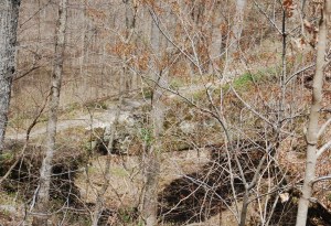 Pomona Natural Bridge