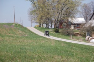 Along a gravel road near Piney Ridge Nature Reserve
