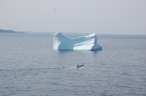 Berg at Twillingate