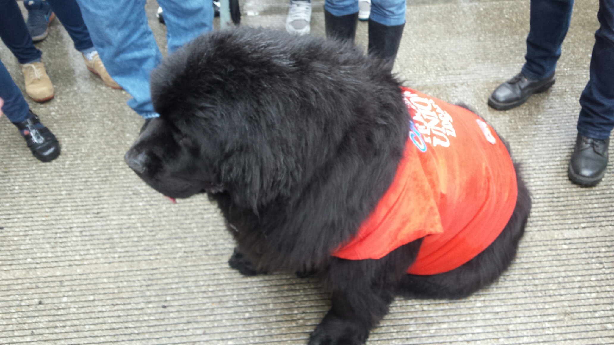 20160401_173547_resized